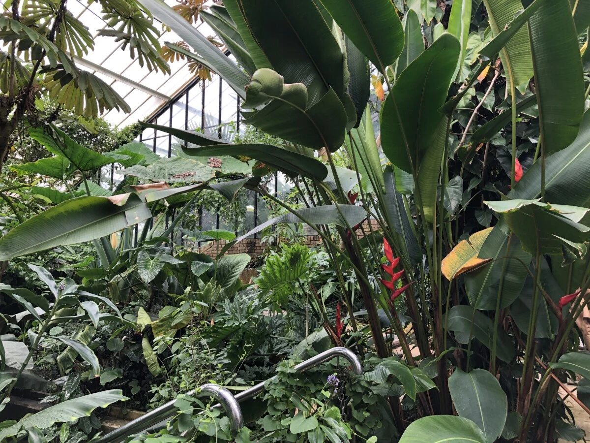 2025-London-Londen-伦敦